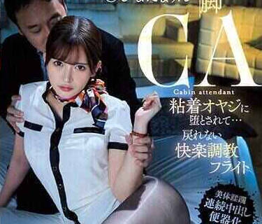 PRED-464美脚空姐被黏着大叔弄到堕落快乐调教