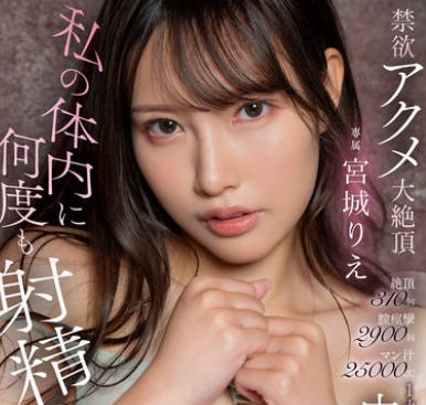 HMN-563 私の体内に何度も射精して…絶顶310回膣痉挛2900回マン汁25000cc1カ月禁欲した后の丸一日中出しFUCK 宫城りえ