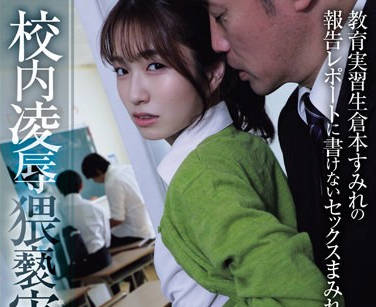 ADN-559 校内凌●猥亵実习 教育実习生仓本すみれの报告レポートに书けないセックスまみれの2週间