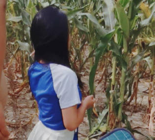 去姥姥家给收玉米在地里与<span style="color: #ff5b82">女</span><span style="color: #ff5b82">儿</span>野战姥姥贴心的给准备了垫子