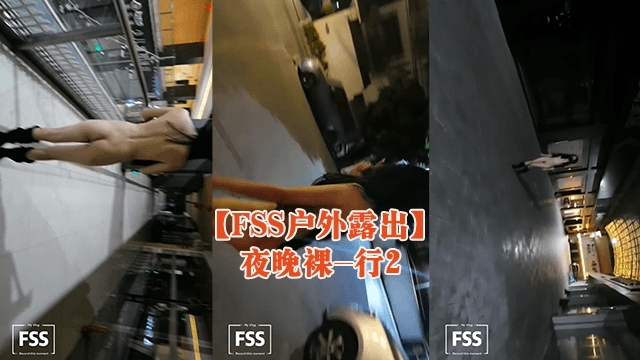 【FSS户外露出】夜晚裸-行2