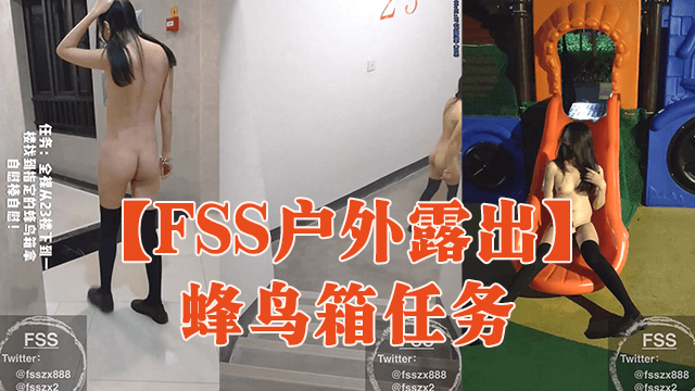 【FSS户外露出】蜂鸟箱任务