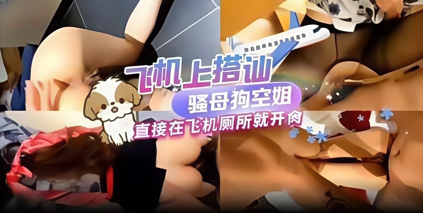 网曝黑料-飞机上搭讪制服骚母狗空姐，直接在飞机上厕所开操-