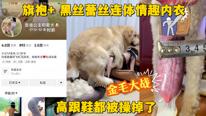 【金毛大战】抖音网红贱狗香香公主 旗袍+ <span style="color: #ff5b82">黑</span><span style="color: #ff5b82">丝</span>蕾丝连体情趣内衣 金毛大战  高跟鞋都被操掉了