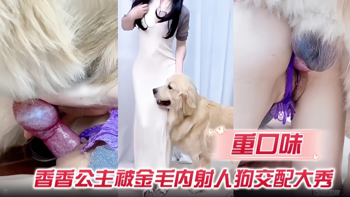 【重口味】香香公主被金毛<span style="color: #ff5b82">内</span><span style="color: #ff5b82">射</span>人狗交配大秀