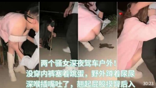 两个骚<span style="color: #ff5b82">女</span>深夜驾车户外，没穿内裤塞着跳蛋，野外蹲着尿尿，深喉插嘴